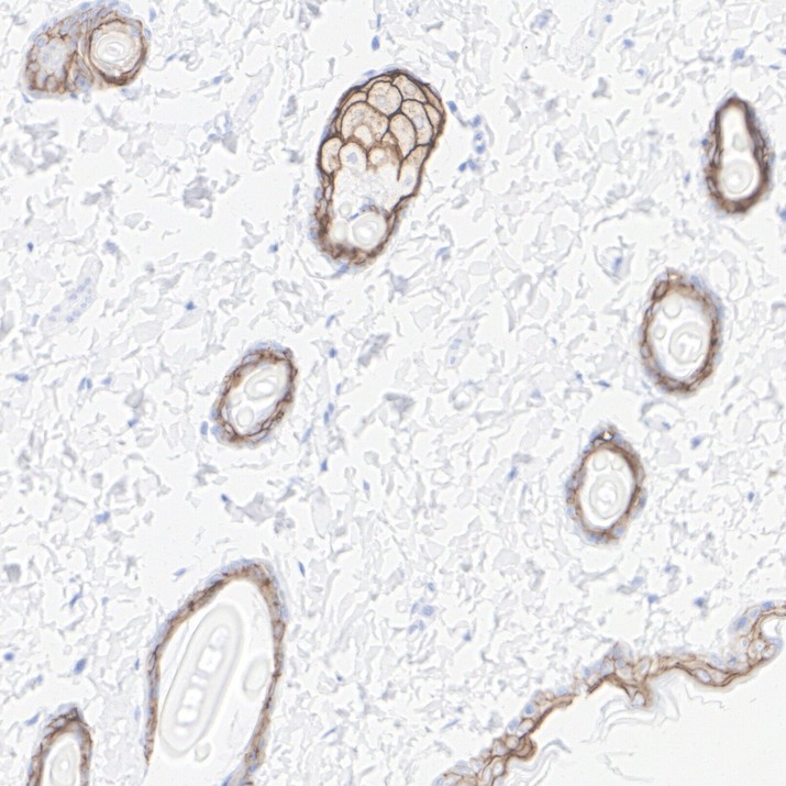 HA724275_14.jpg