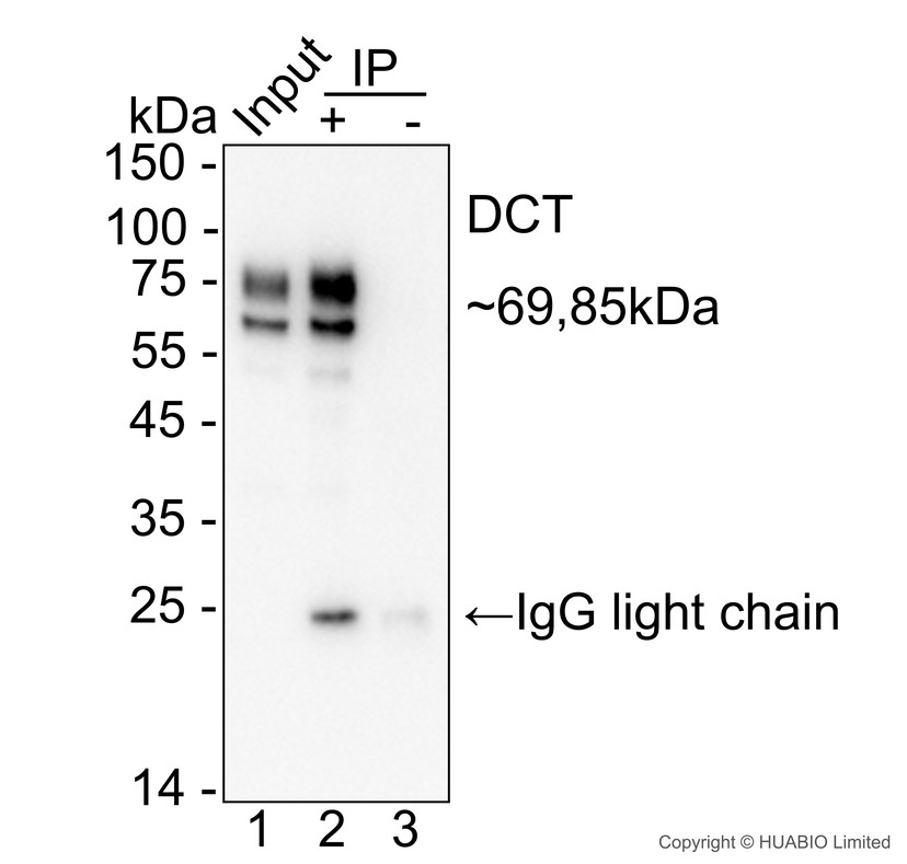 HA724292_2.jpg