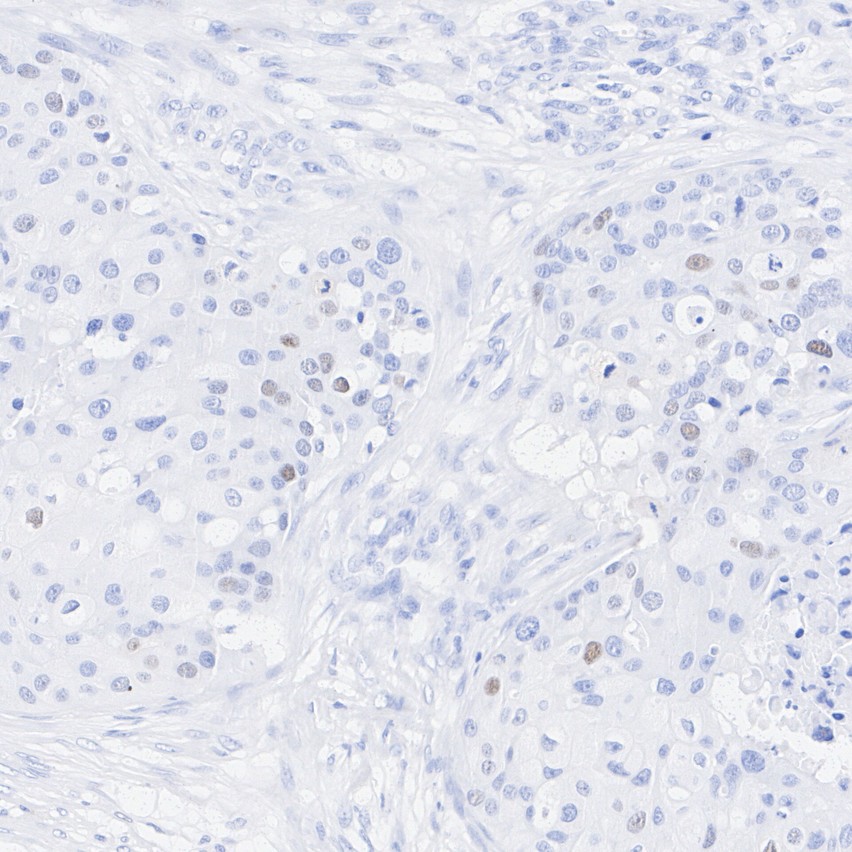 HA724295_5.jpg