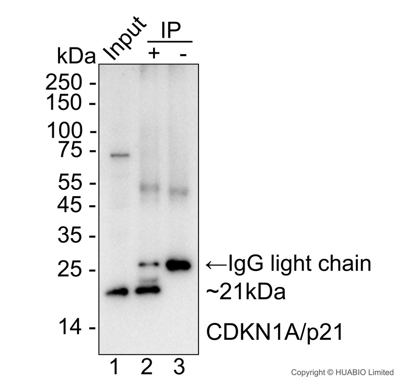 HA724295_6.jpg