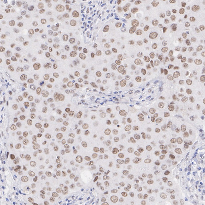 HA724310_2.jpg