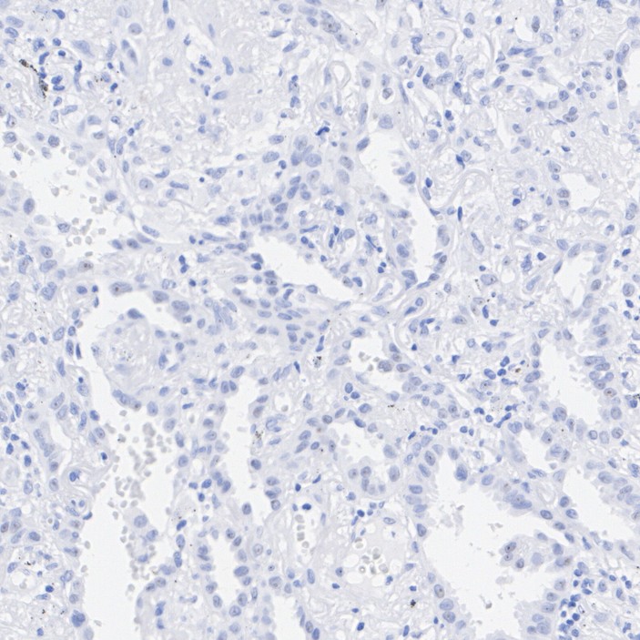 HA724341_5.jpg