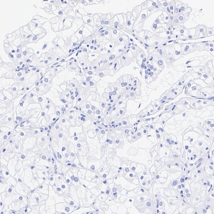 HA724341_6.jpg