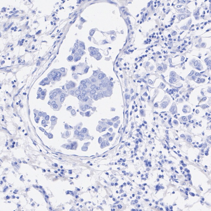 HA724341_7.jpg