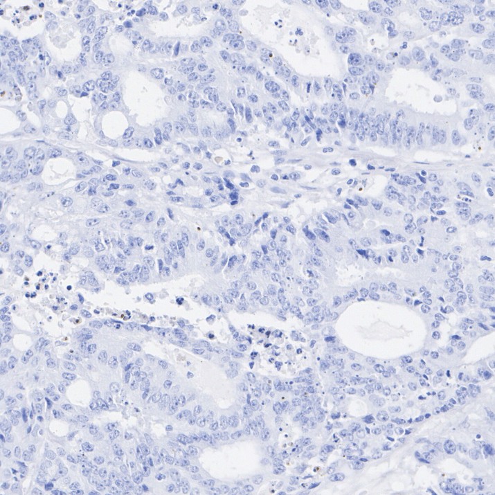 HA724341_8.jpg