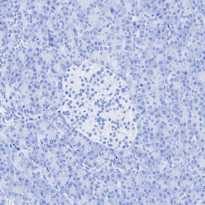 HA724356_5.jpg