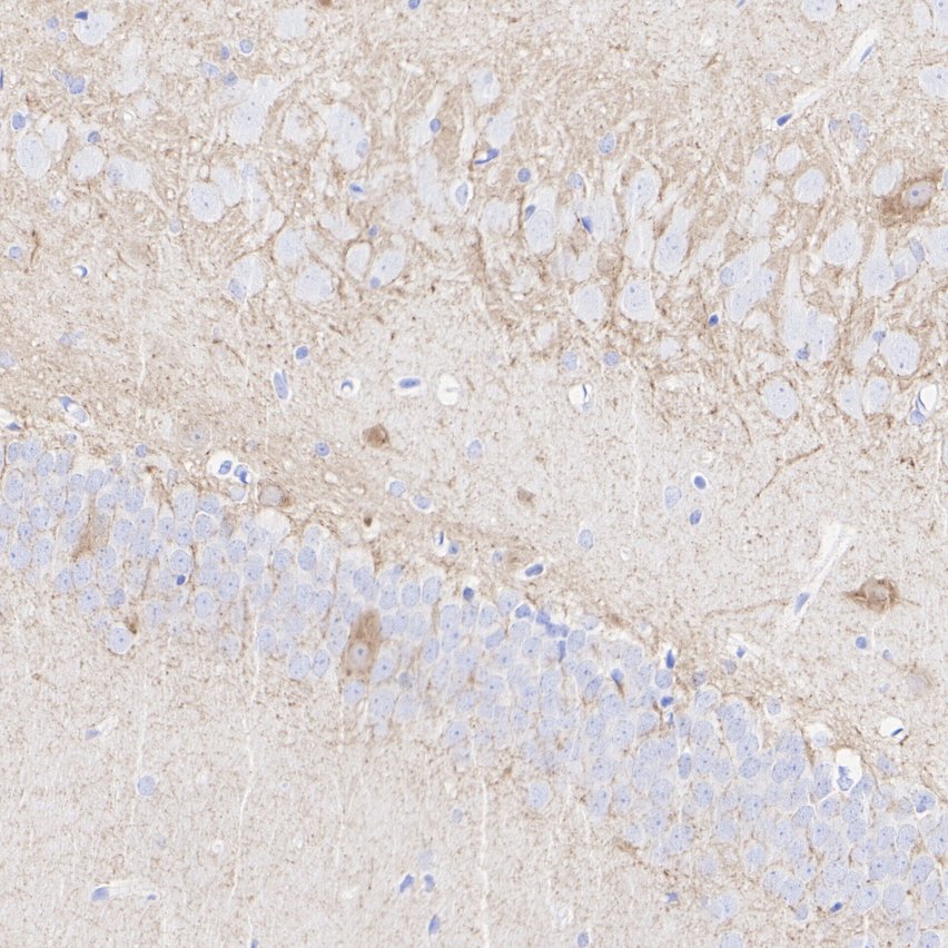 HA724362_6.jpg