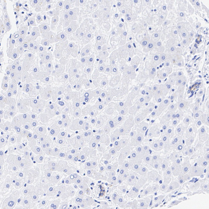 HA724379_6.jpg