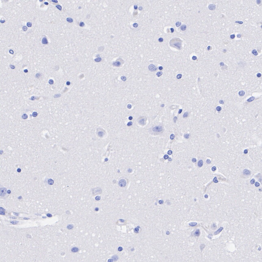 HA724382_5.jpg