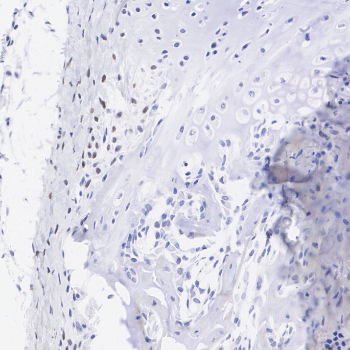 HA724400_10.jpg