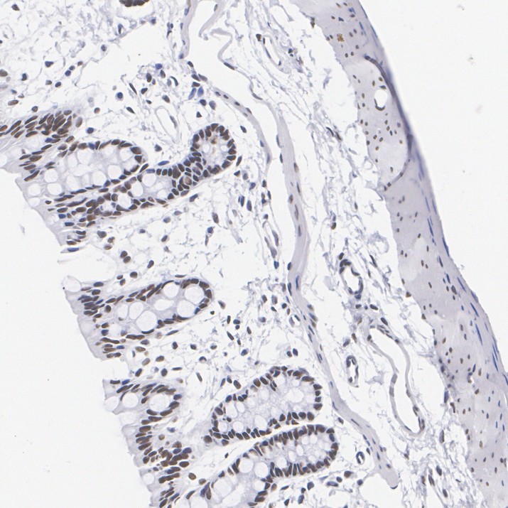 HA724414_5.jpg