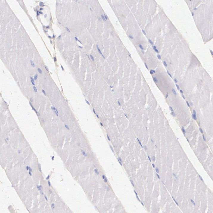 HA724442_5.jpg
