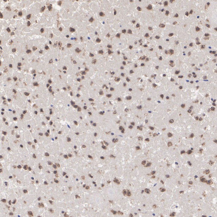 HA724446_2.jpg