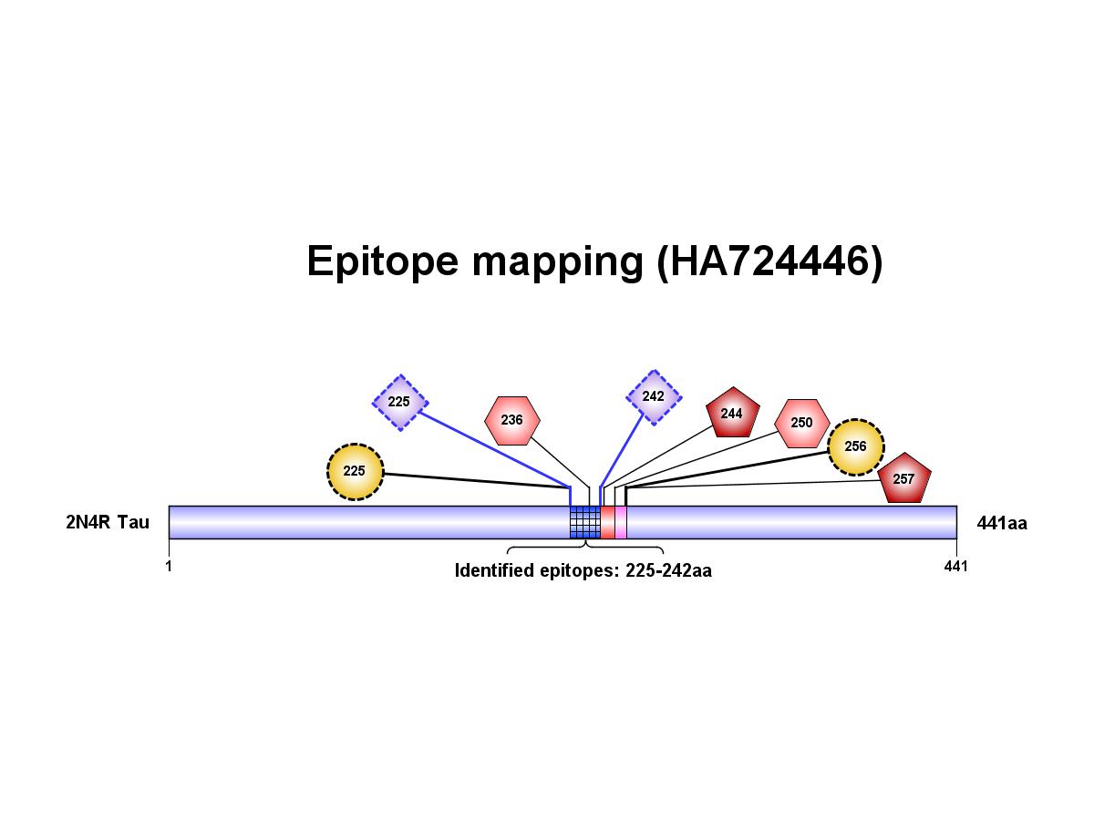 HA724446_8.png