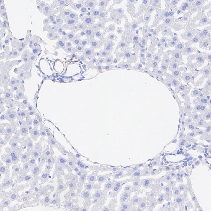HA724453_6.jpg