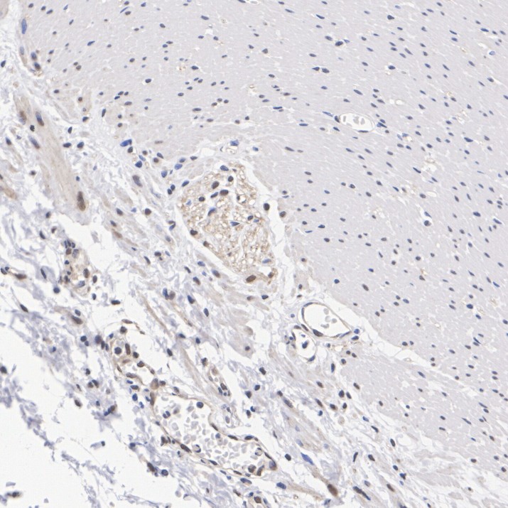 HA724473_6.jpg