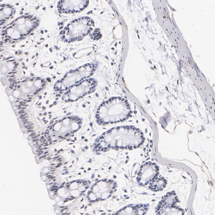 HA724473_8.jpg