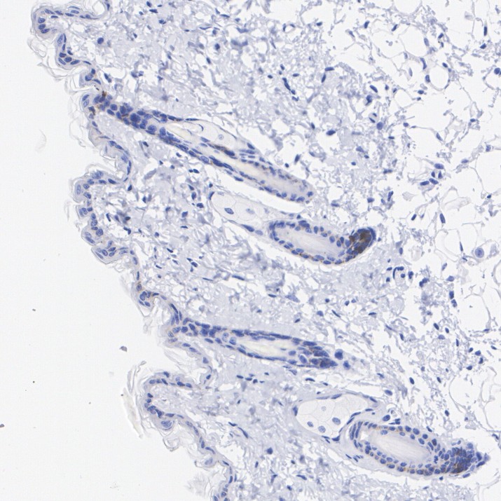 HA724479_4.jpg