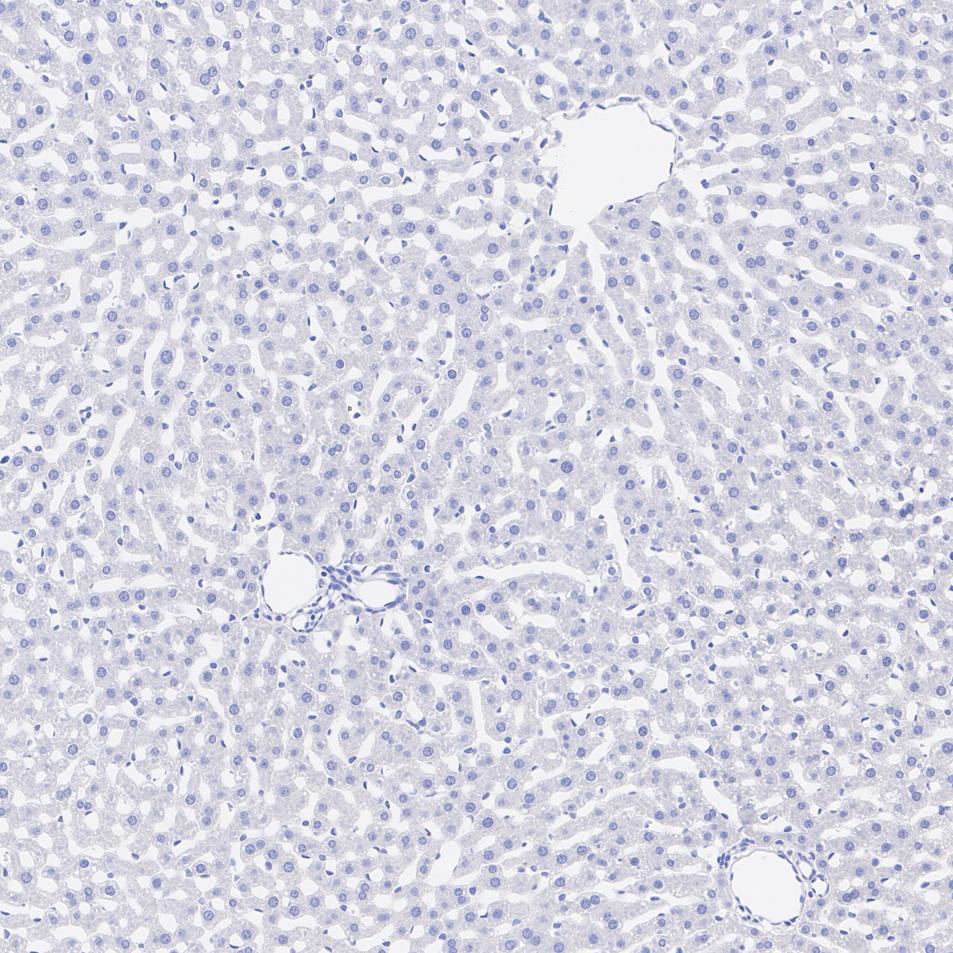 HA724490_6.jpg