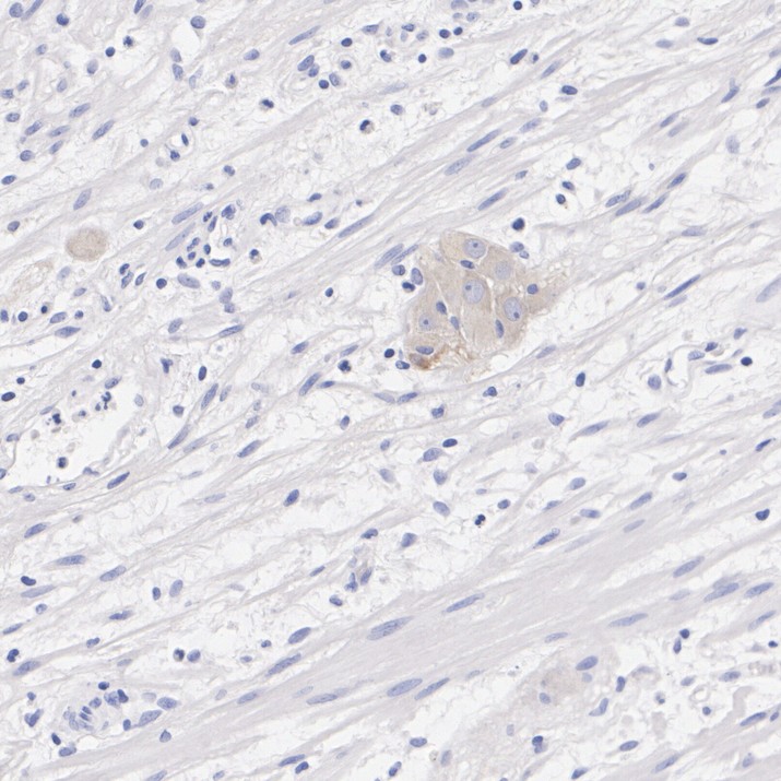 HA724492_3.jpg