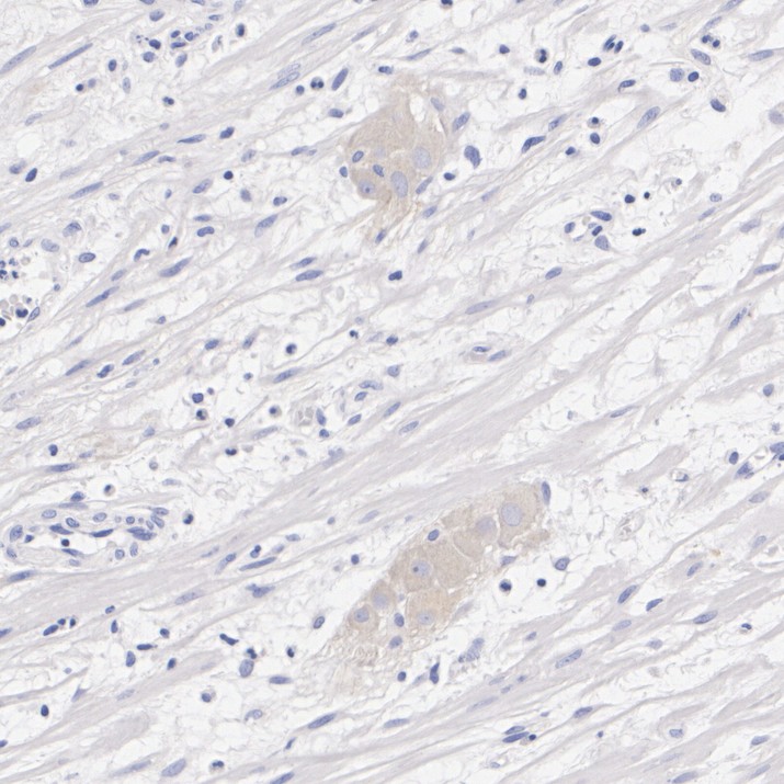 HA724493_3.jpg