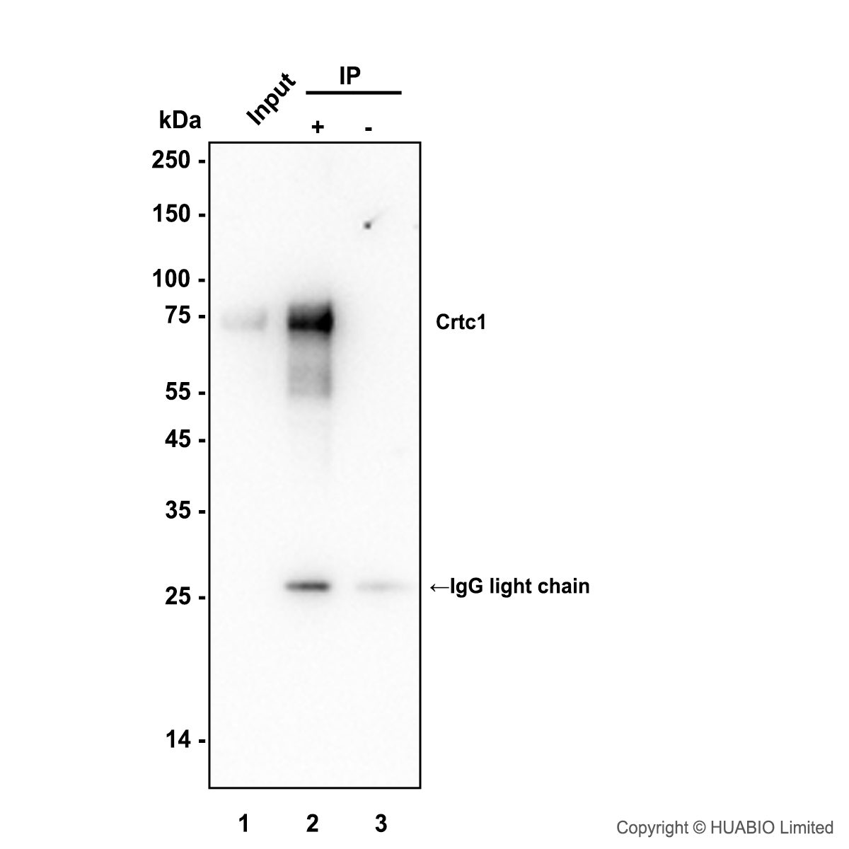 HA724497_5.jpg