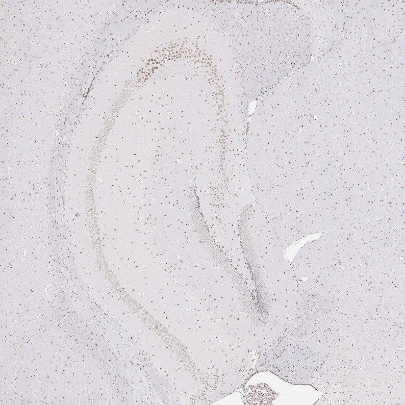HA724516_3.jpg
