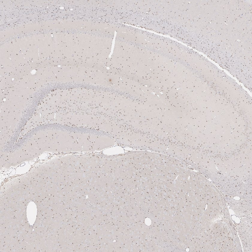 HA724516_5.jpg