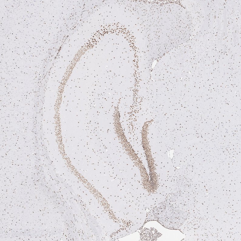 HA724517_2.jpg