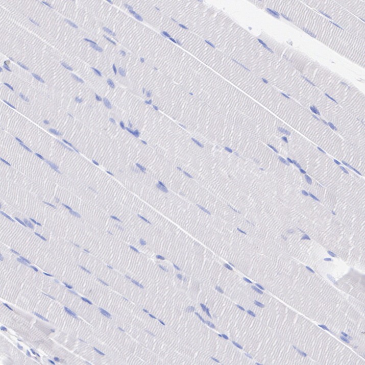 HA724549_11.jpg