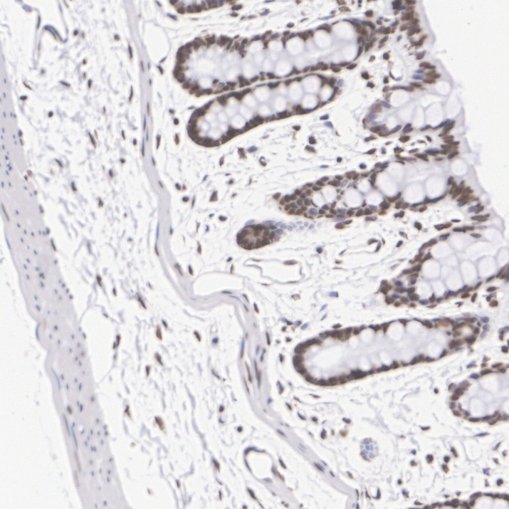 HA724554_7.jpg