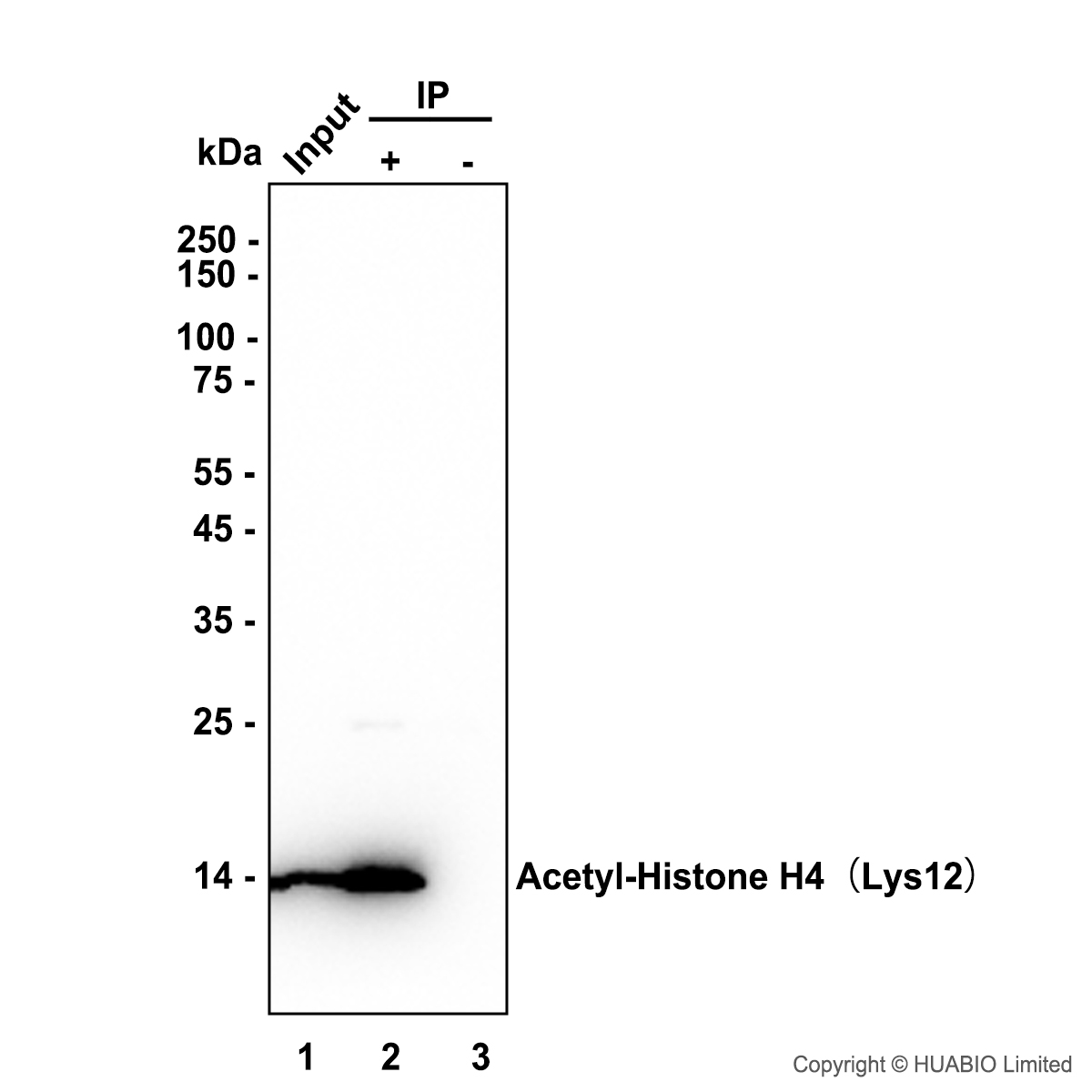 HA724554_8.jpg