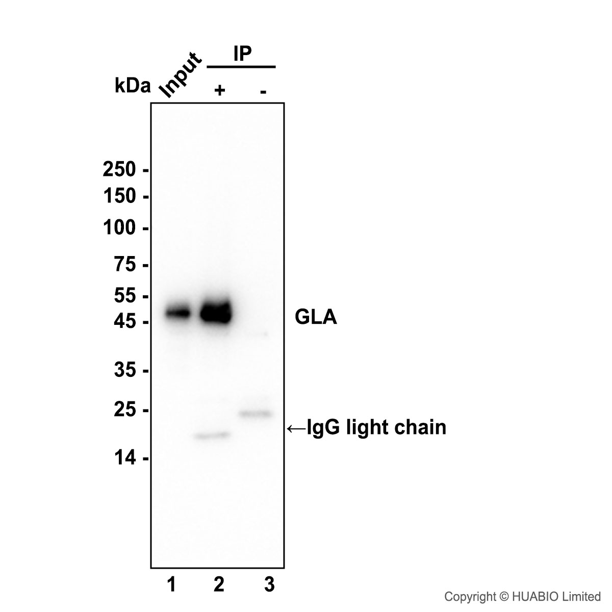 HA724585_6.jpg