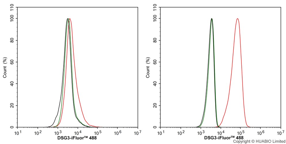 HA724668_6.jpg