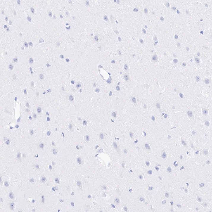 HA724677_4.jpg