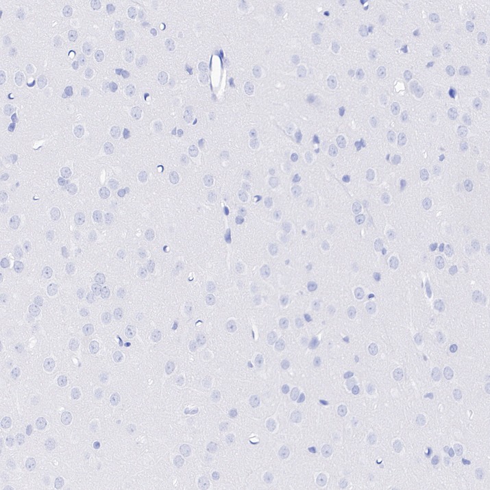 HA724677_6.jpg