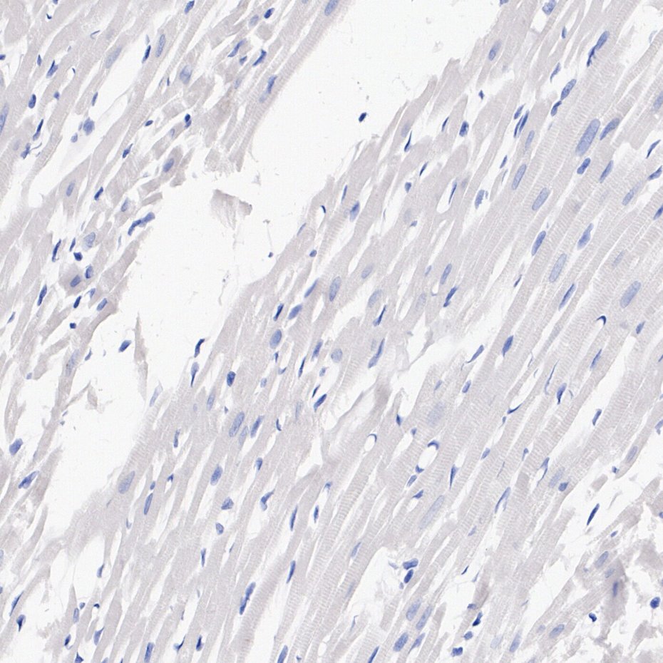 HA724698_6.jpg