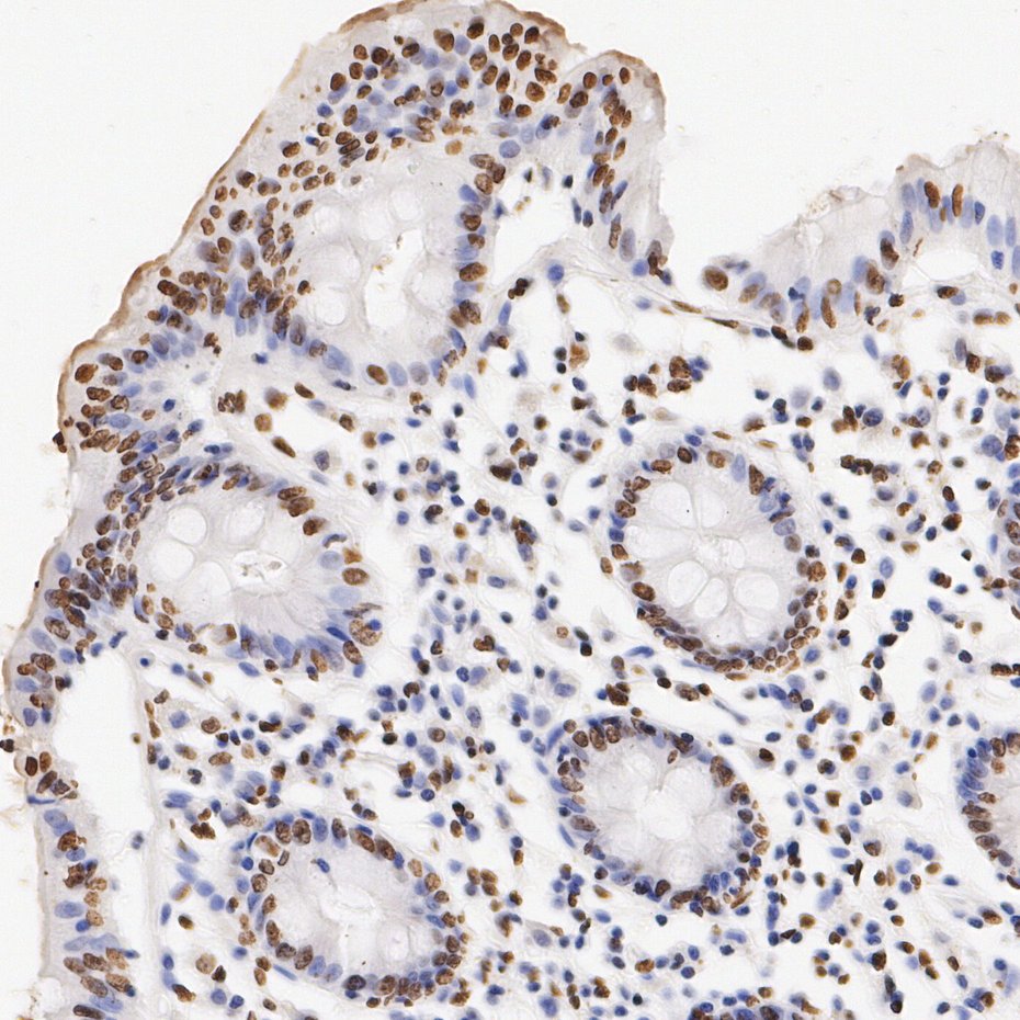 HA724717_2.jpg