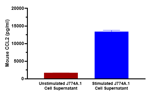 HA725041_2.png