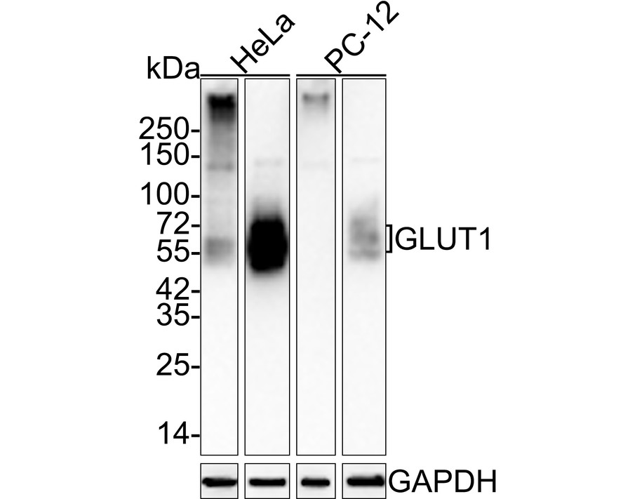 HA750002_2.jpg