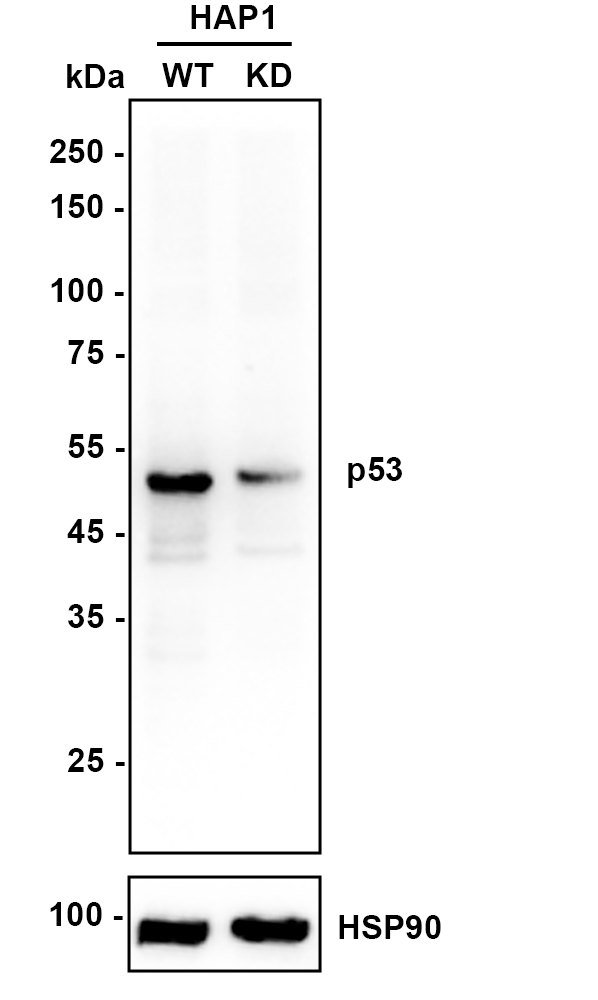 HA750005_2.jpg