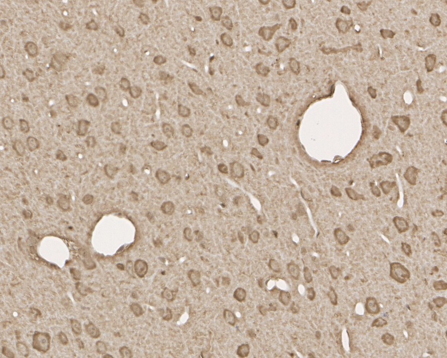 HA750007_7.jpg
