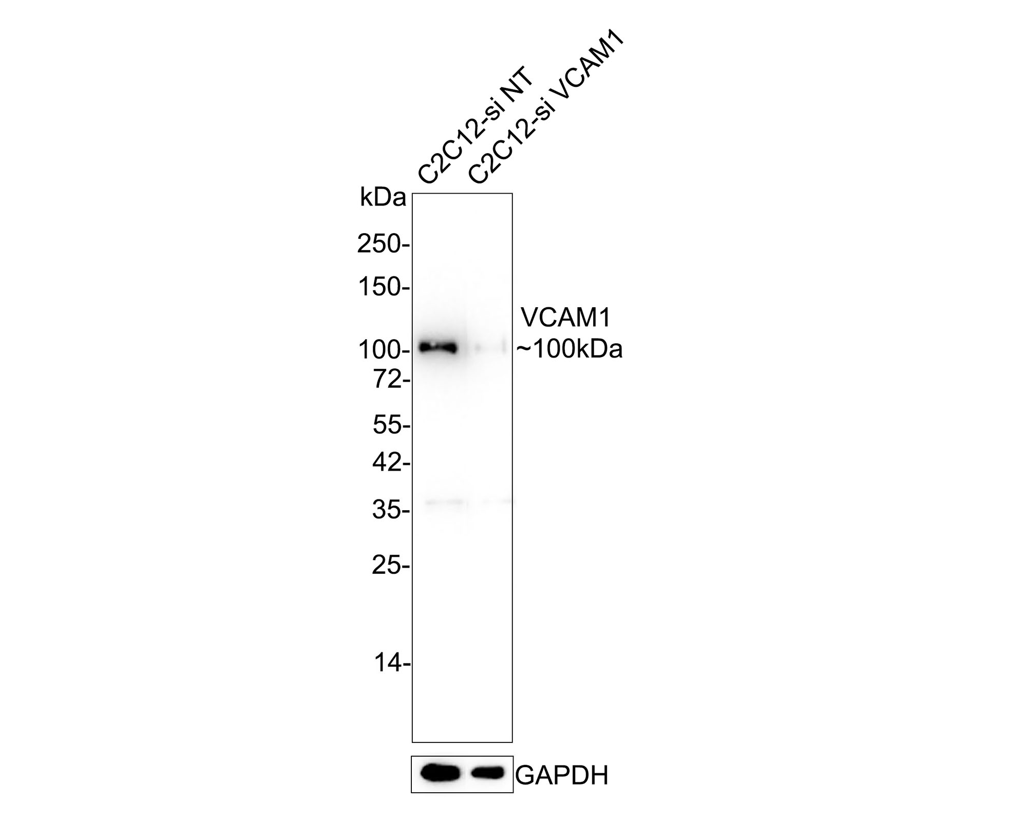 HA750009_6.jpg