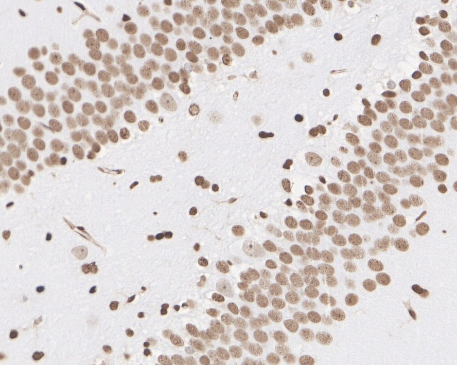HA750011_10.jpg