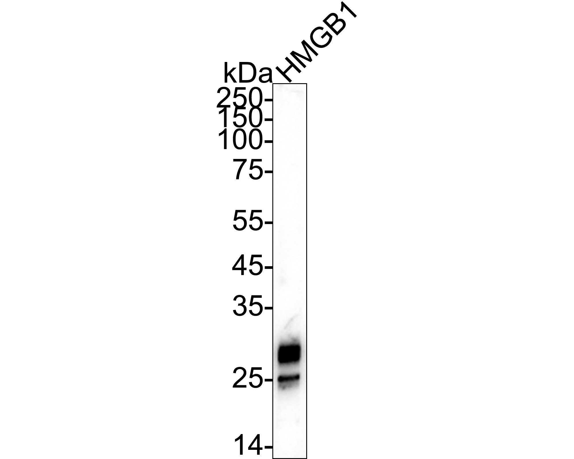 HA750011_16.jpg