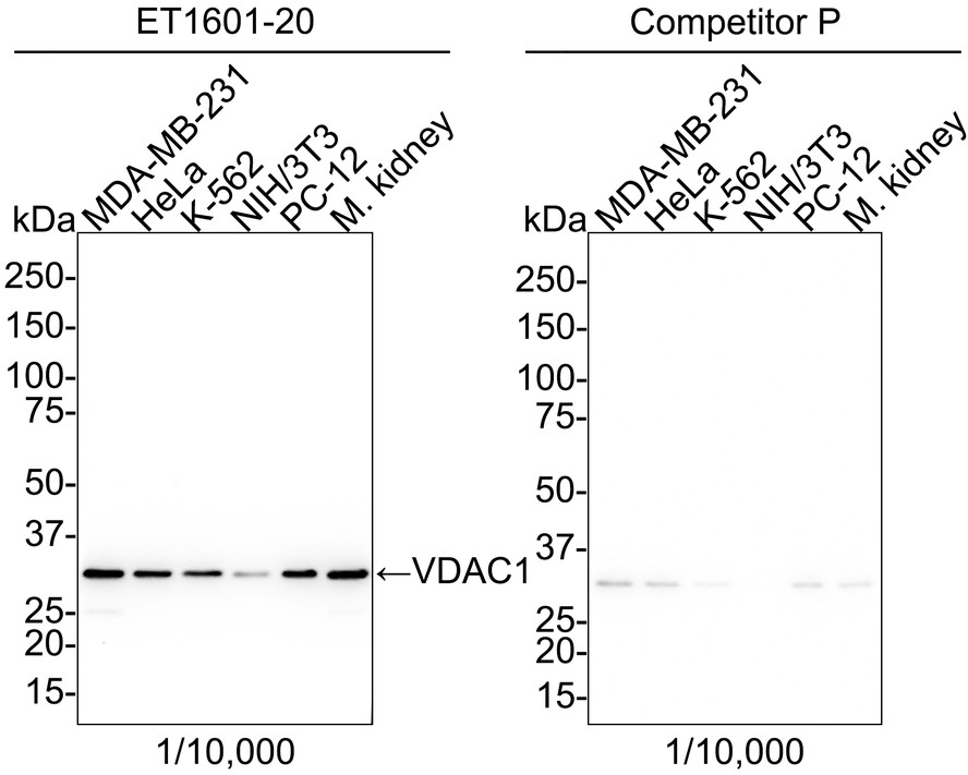 HA750012_1.jpg