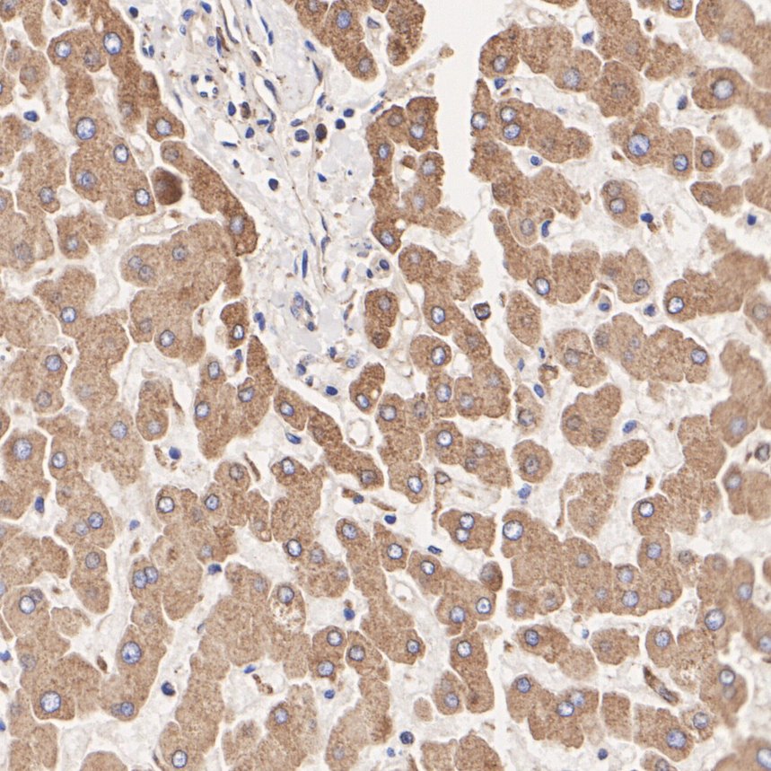 HA750013_2.jpg