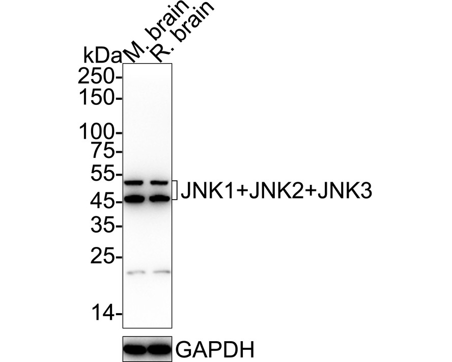 HA750018_2.jpg