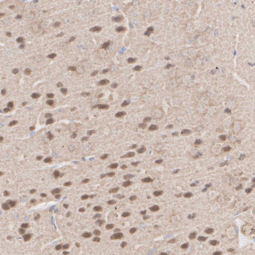 HA750018_4.jpg