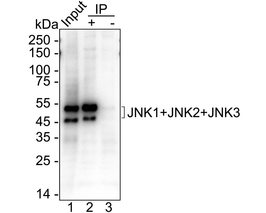 HA750018_6.jpg